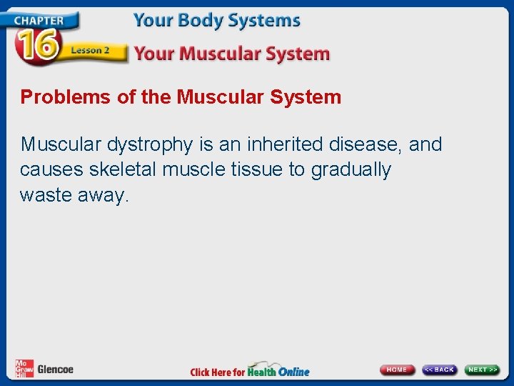 Problems of the Muscular System Muscular dystrophy is an inherited disease, and causes skeletal