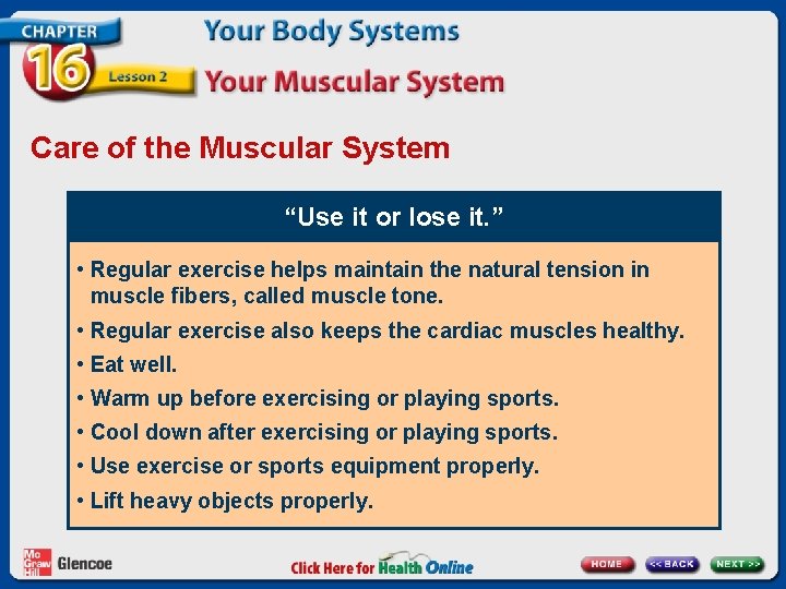 Care of the Muscular System “Use it or lose it. ” • Regular exercise