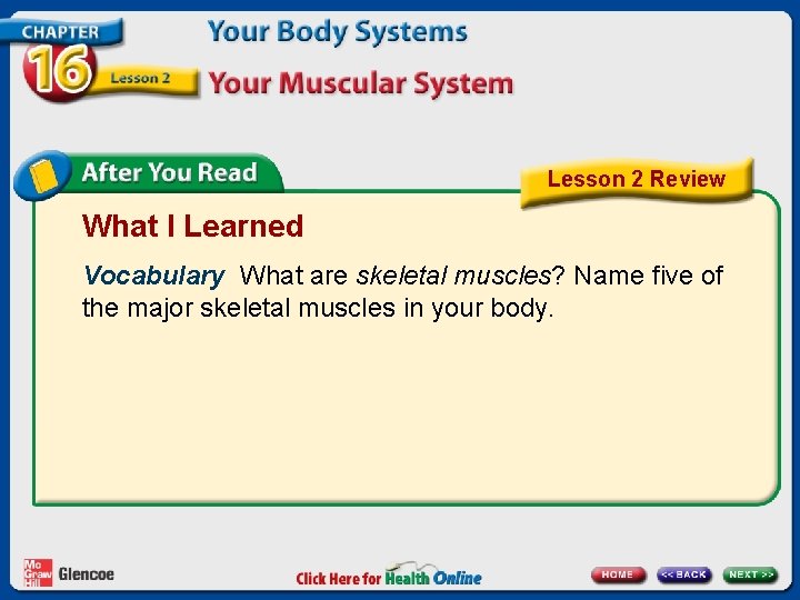 Lesson 2 Review What I Learned Vocabulary What are skeletal muscles? Name five of