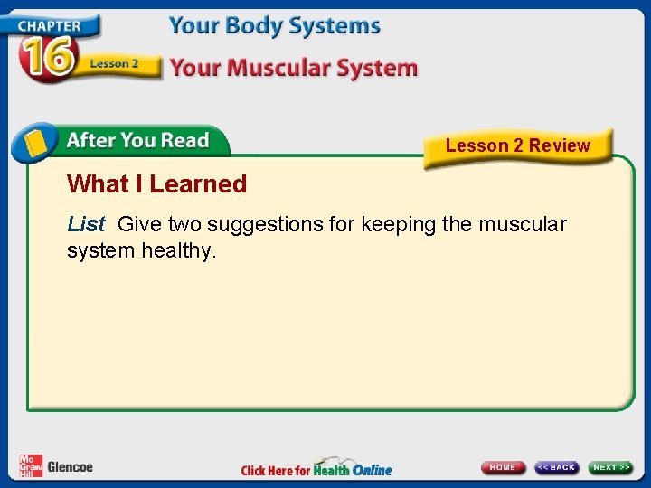 Lesson 2 Review What I Learned List Give two suggestions for keeping the muscular