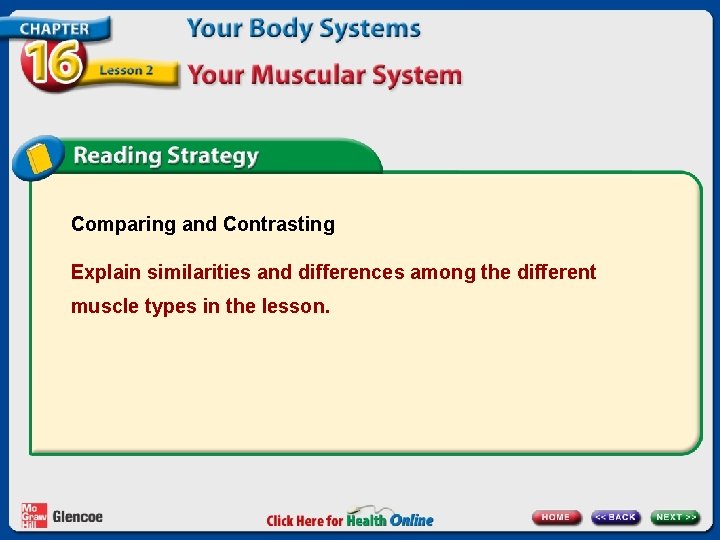Comparing and Contrasting Explain similarities and differences among the different muscle types in the