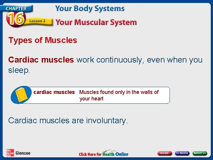 Types of Muscles Cardiac muscles work continuously, even when you sleep. cardiac muscles Muscles