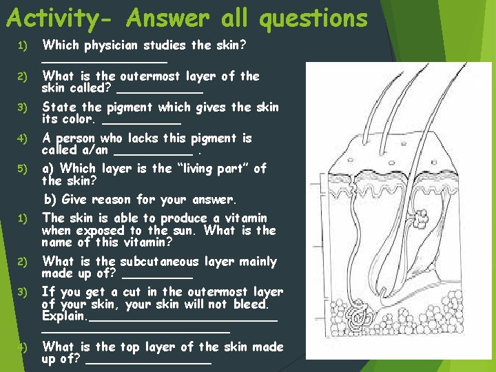 Activity- Answer all questions 1) Which physician studies the skin? ________ 2) What is