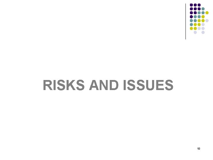 RISKS AND ISSUES 18 