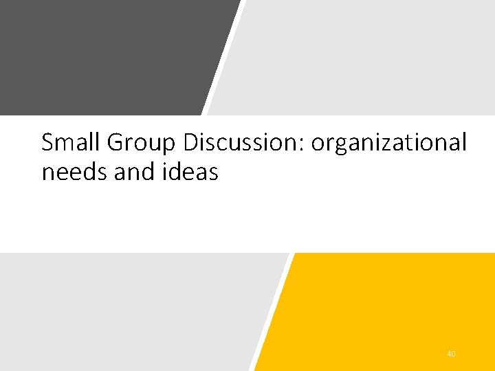 Small Group Discussion: organizational needs and ideas 40 