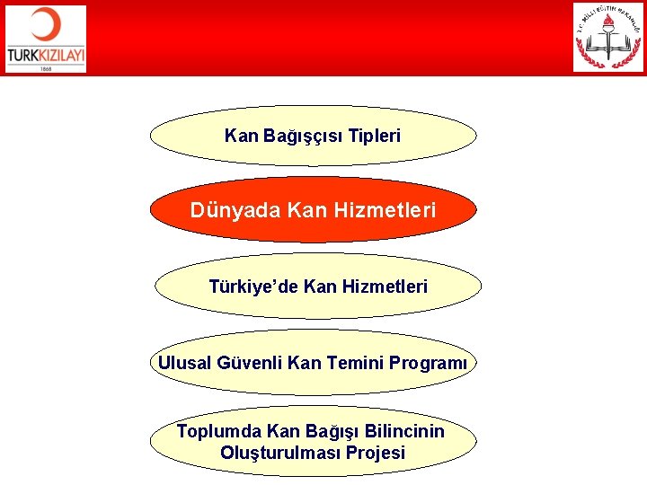 Kan Bağışçısı Tipleri Dünyada Kan Hizmetleri Türkiye’de Kan Hizmetleri Ulusal Güvenli Kan Temini Programı