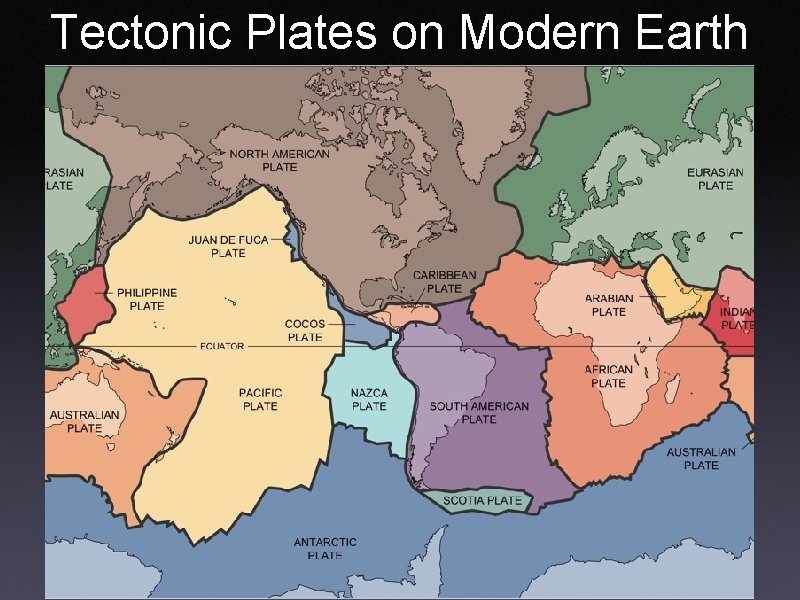 Tectonic Plates on Modern Earth 