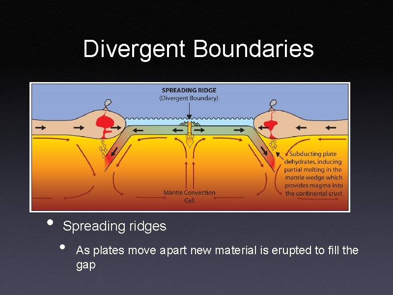 Divergent Boundaries • Spreading ridges • As plates move apart new material is erupted