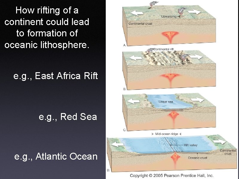 How rifting of a continent could lead to formation of oceanic lithosphere. e. g.