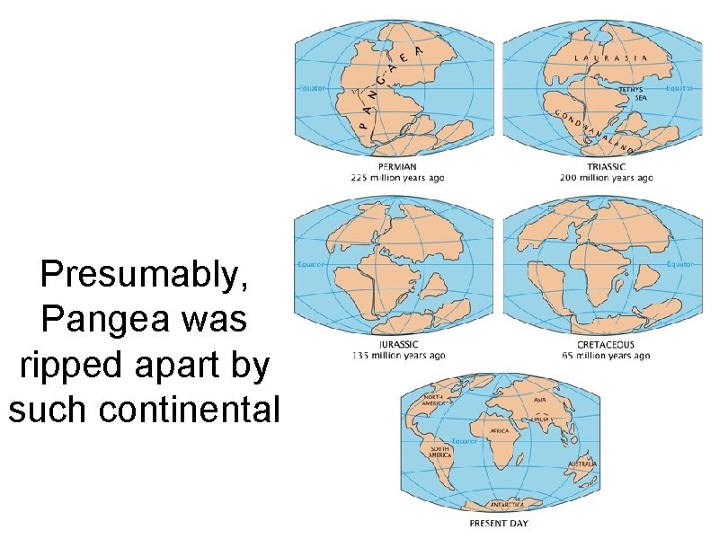 Presumably, Pangea was ripped apart by such continental rifting & drifting. 