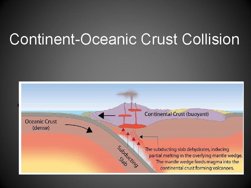 Continent-Oceanic Crust Collision • Called SUBDUCTION 