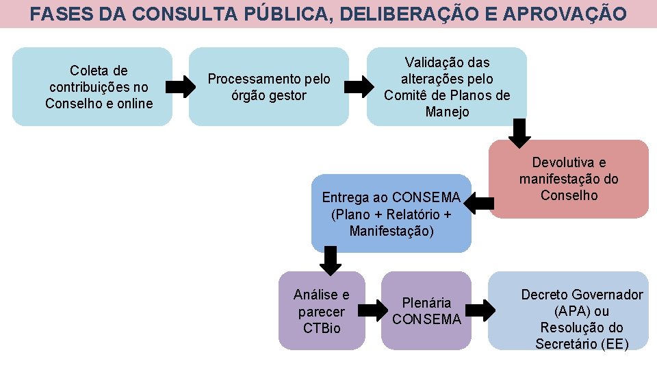 FASES DA CONSULTA PÚBLICA, DELIBERAÇÃO E APROVAÇÃO Coleta de contribuições no Conselho e online