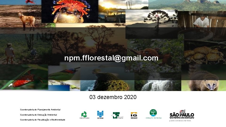 npm. fflorestal@gmail. com 03 dezembro 2020 Coordenadoria de Planejamento Ambiental Coordenadoria de Educação Ambiental