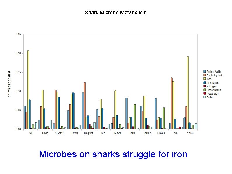 Shark Microbe Metabolism Microbes on sharks struggle for iron 