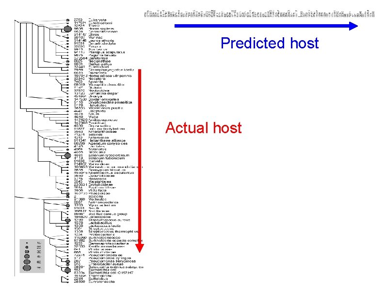 Predicted host Actual host 