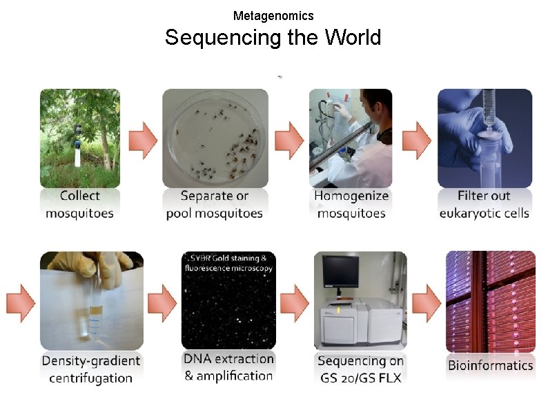 Metagenomics Sequencing the World 