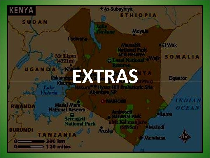 EXTRAS 