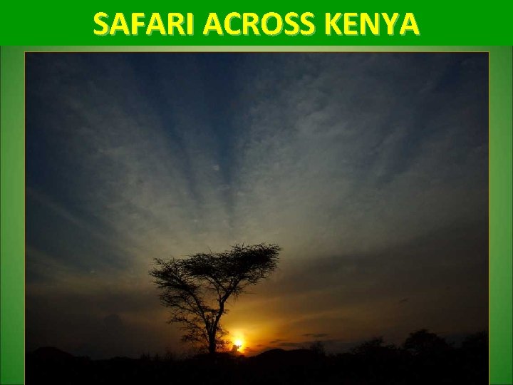 SAFARI ACROSS KENYA 