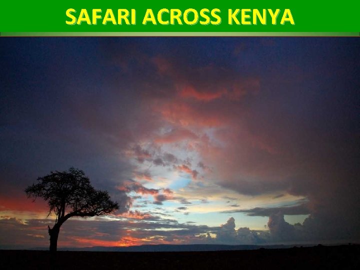 SAFARI ACROSS KENYA 