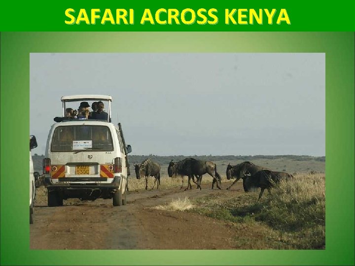 SAFARI ACROSS KENYA 