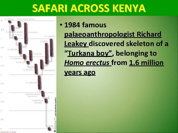 SAFARI ACROSS KENYA • 1984 famous palaeoanthropologist Richard Leakey discovered skeleton of a “Turkana