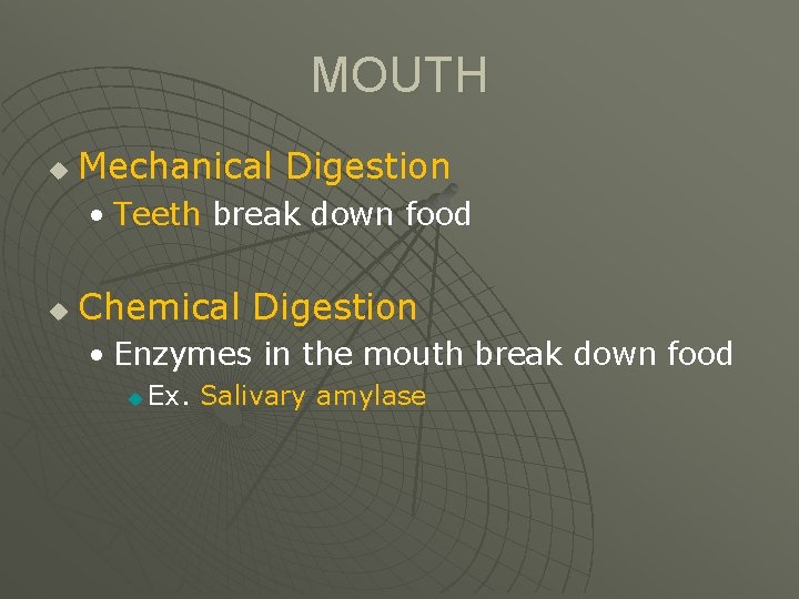 DIGESTION MOUTH u Mechanical Digestion Teeth break down