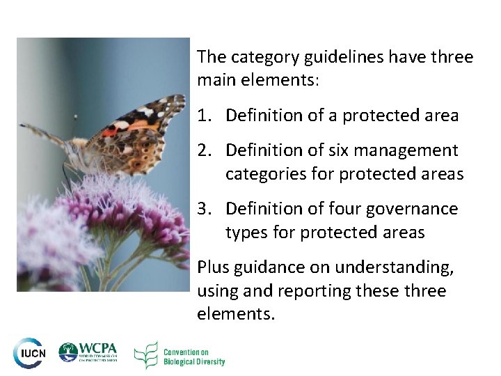 The category guidelines have three main elements: 1. Definition of a protected area 2. The category guidelines have three main elements: 1. Definition of a protected area 2.