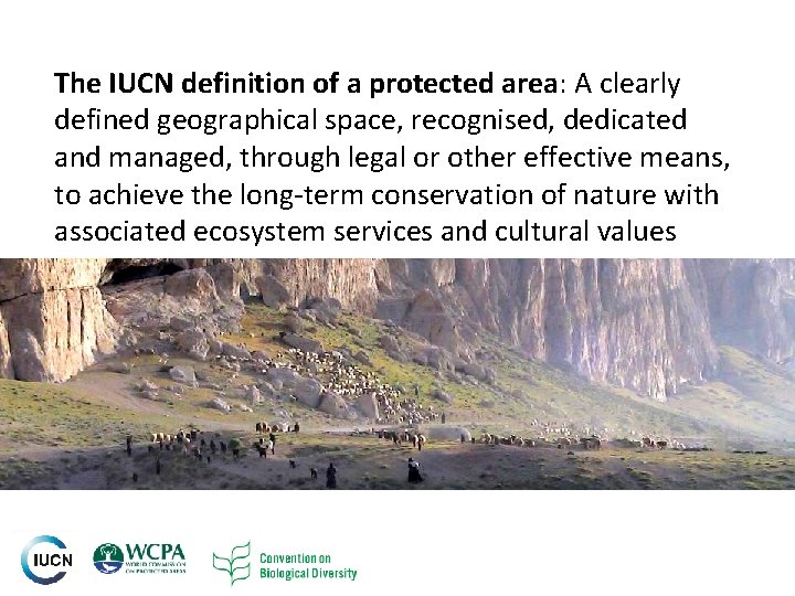 The IUCN definition of a protected area: A clearly defined geographical space, recognised, dedicated The IUCN definition of a protected area: A clearly defined geographical space, recognised, dedicated