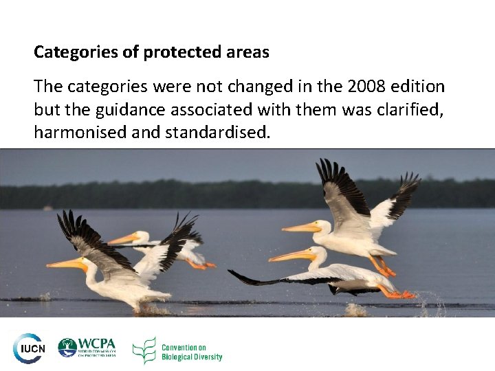 Categories of protected areas The categories were not changed in the 2008 edition but Categories of protected areas The categories were not changed in the 2008 edition but