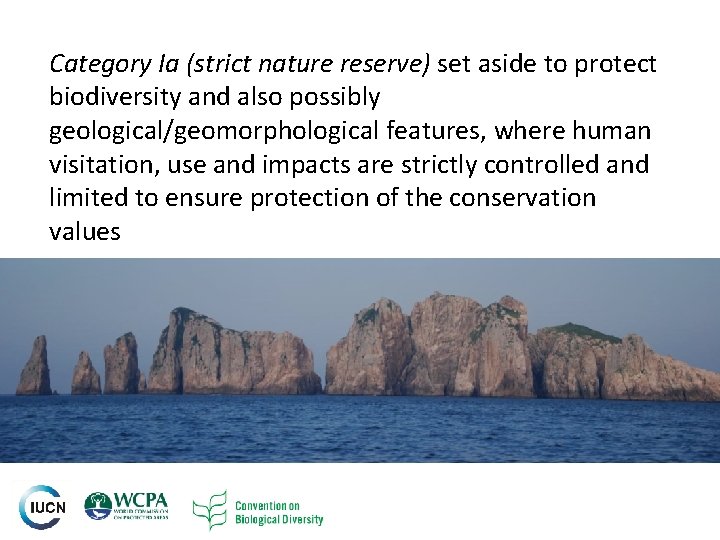 Category Ia (strict nature reserve) set aside to protect biodiversity and also possibly geological/geomorphological Category Ia (strict nature reserve) set aside to protect biodiversity and also possibly geological/geomorphological