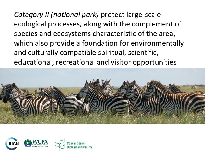 Category II (national park) protect large-scale ecological processes, along with the complement of species Category II (national park) protect large-scale ecological processes, along with the complement of species