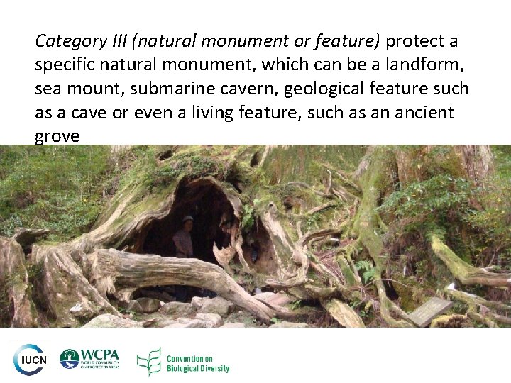 Category III (natural monument or feature) protect a specific natural monument, which can be Category III (natural monument or feature) protect a specific natural monument, which can be