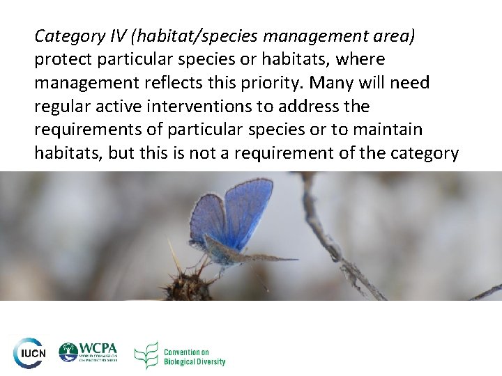 Category IV (habitat/species management area) protect particular species or habitats, where management reflects this Category IV (habitat/species management area) protect particular species or habitats, where management reflects this