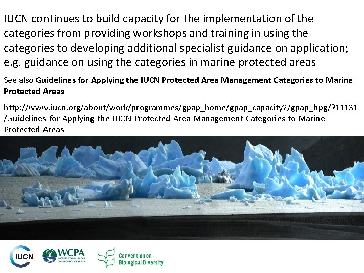 IUCN continues to build capacity for the implementation of the categories from providing workshops IUCN continues to build capacity for the implementation of the categories from providing workshops