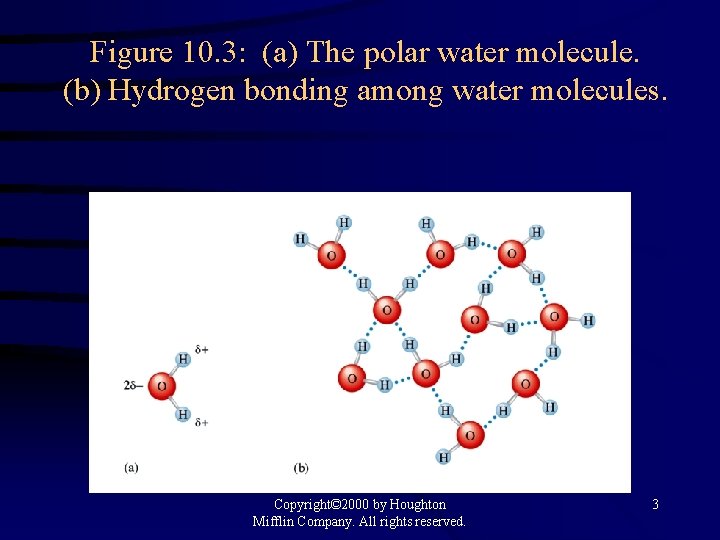 Figure 10. 3: (a) The polar water molecule. (b) Hydrogen bonding among water molecules.