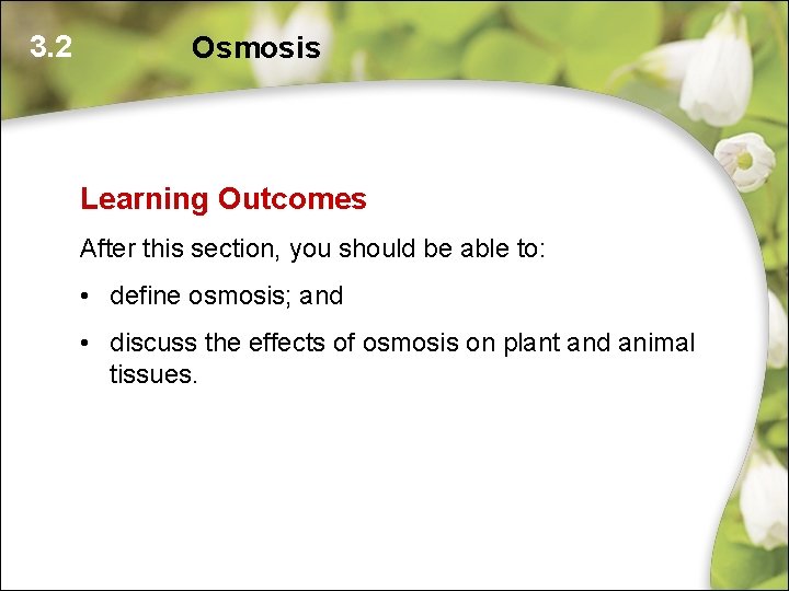 3. 2 Osmosis Learning Outcomes After this section, you should be able to: • 3. 2 Osmosis Learning Outcomes After this section, you should be able to: •