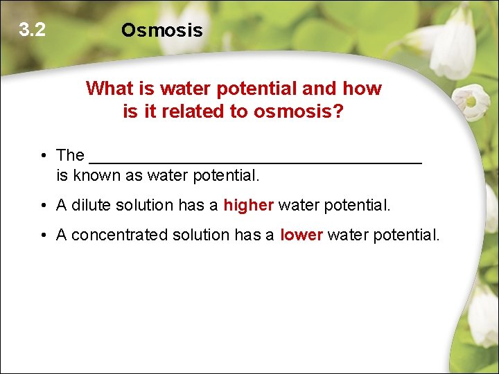 3. 2 Osmosis What is water potential and how is it related to osmosis? 3. 2 Osmosis What is water potential and how is it related to osmosis?