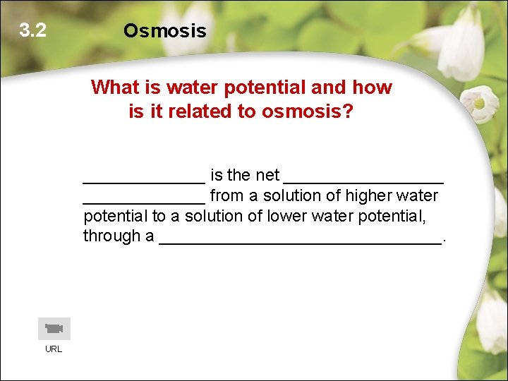 3. 2 Osmosis What is water potential and how is it related to osmosis? 3. 2 Osmosis What is water potential and how is it related to osmosis?
