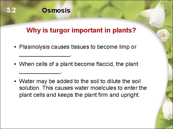 3. 2 Osmosis Why is turgor important in plants? • Plasmolysis causes tissues to 3. 2 Osmosis Why is turgor important in plants? • Plasmolysis causes tissues to
