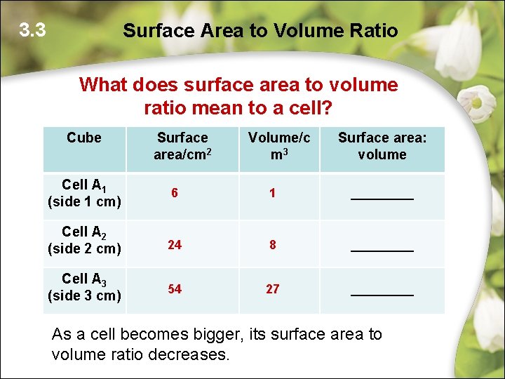 3. 3 Surface Area to Volume Ratio What does surface area to volume ratio 3. 3 Surface Area to Volume Ratio What does surface area to volume ratio