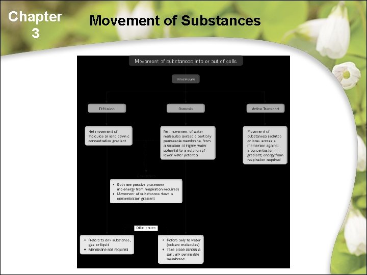 Chapter 3 Movement of Substances Chapter 3 Movement of Substances