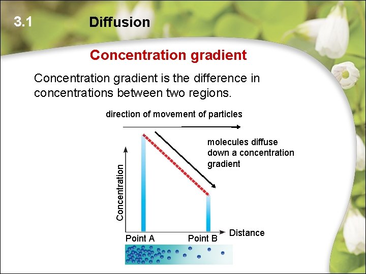 Diffusion Concentration gradient is the difference in concentrations between two regions. direction of movement Diffusion Concentration gradient is the difference in concentrations between two regions. direction of movement