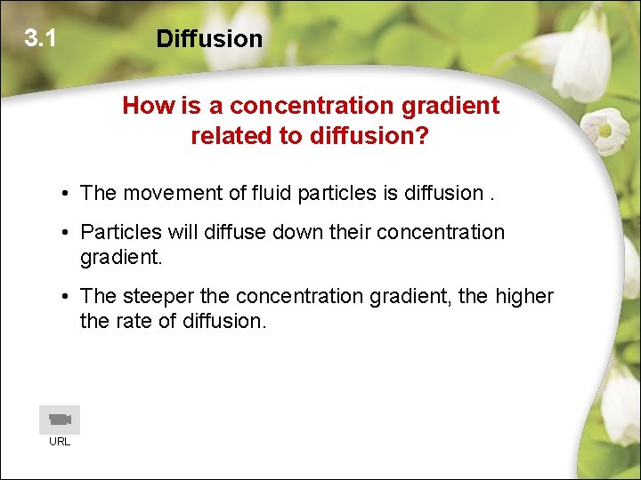 3. 1 Diffusion How is a concentration gradient related to diffusion? • The movement 3. 1 Diffusion How is a concentration gradient related to diffusion? • The movement