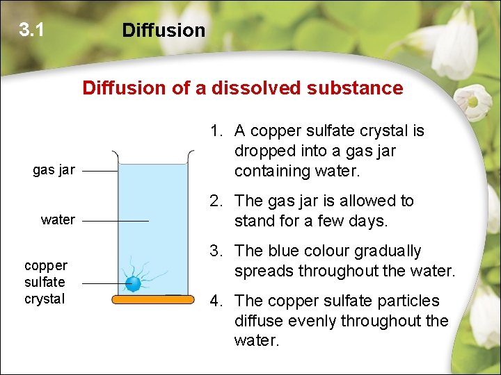 3. 1 Diffusion of a dissolved substance gas jar water copper sulfate crystal 1. 3. 1 Diffusion of a dissolved substance gas jar water copper sulfate crystal 1.