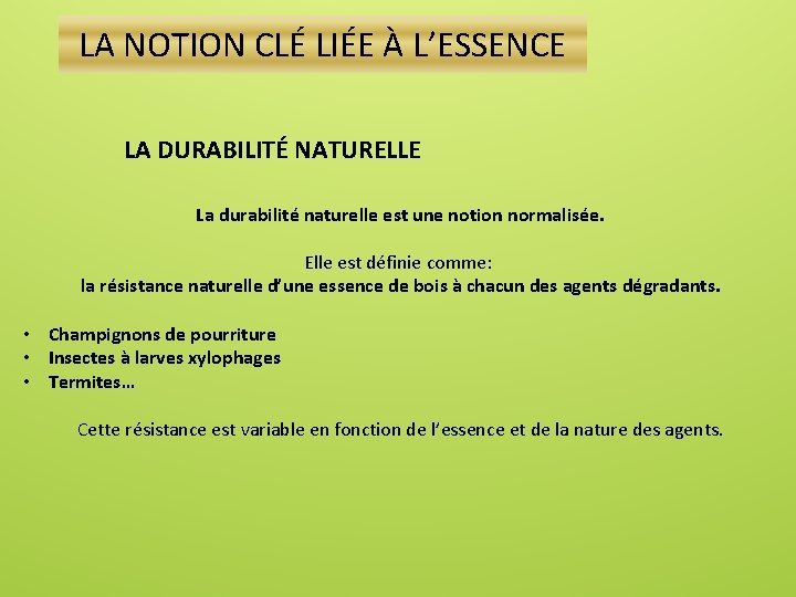 LA NOTION CLÉ LIÉE À L’ESSENCE LA DURABILITÉ NATURELLE La durabilité naturelle est une