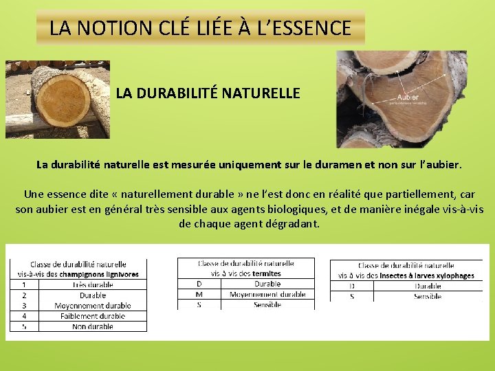 LA NOTION CLÉ LIÉE À L’ESSENCE LA DURABILITÉ NATURELLE La durabilité naturelle est mesurée
