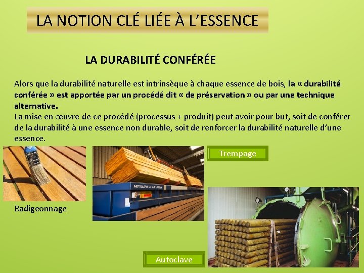 LA NOTION CLÉ LIÉE À L’ESSENCE LA DURABILITÉ CONFÉRÉE Alors que la durabilité naturelle