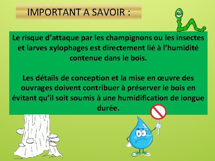 IMPORTANT A SAVOIR : Le risque d’attaque par les champignons ou les insectes et