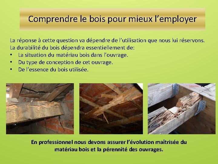 Comprendre le bois pour mieux l’employer La réponse à cette question va dépendre de