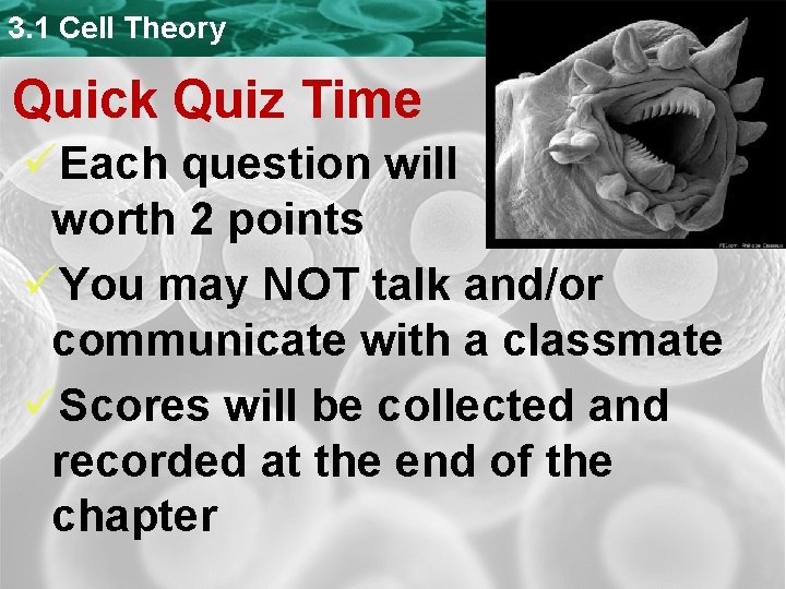 3. 1 Cell Theory Quick Quiz Time üEach question will be worth 2 points 3. 1 Cell Theory Quick Quiz Time üEach question will be worth 2 points